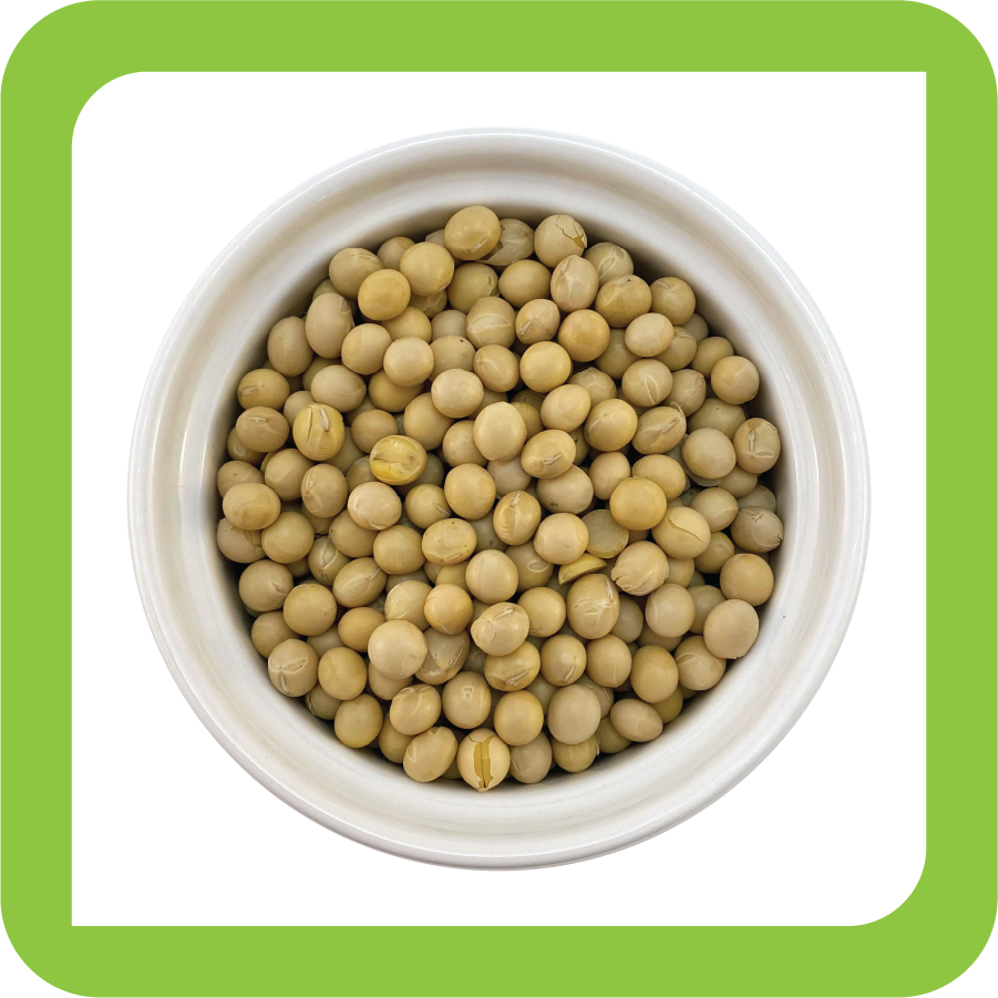 What Are Plant Proteins? HealthPartners